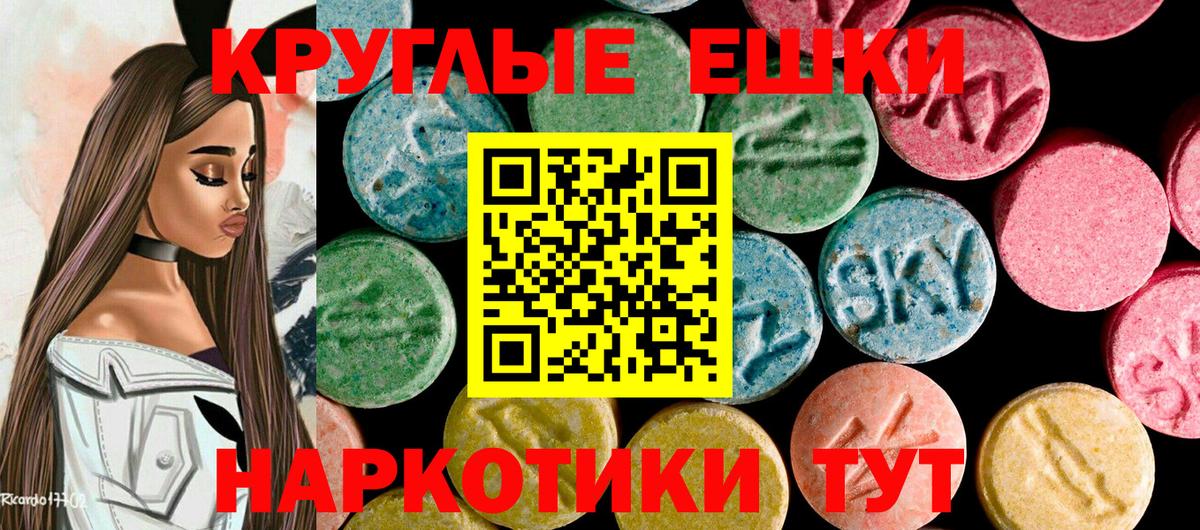 blacksprut вход  ЭКСТАЗИ  Видное  Ecstasy круглые  ЭКСТАЗИ Philipp Plein 