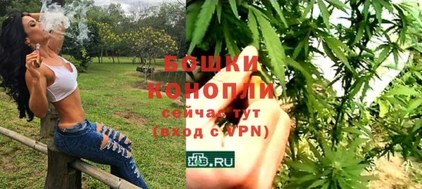 стафф Дмитровск