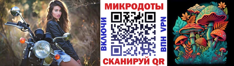 блэк спрут зеркало  Видное  Псилоцибиновые грибы мухоморы  как найти наркотики 