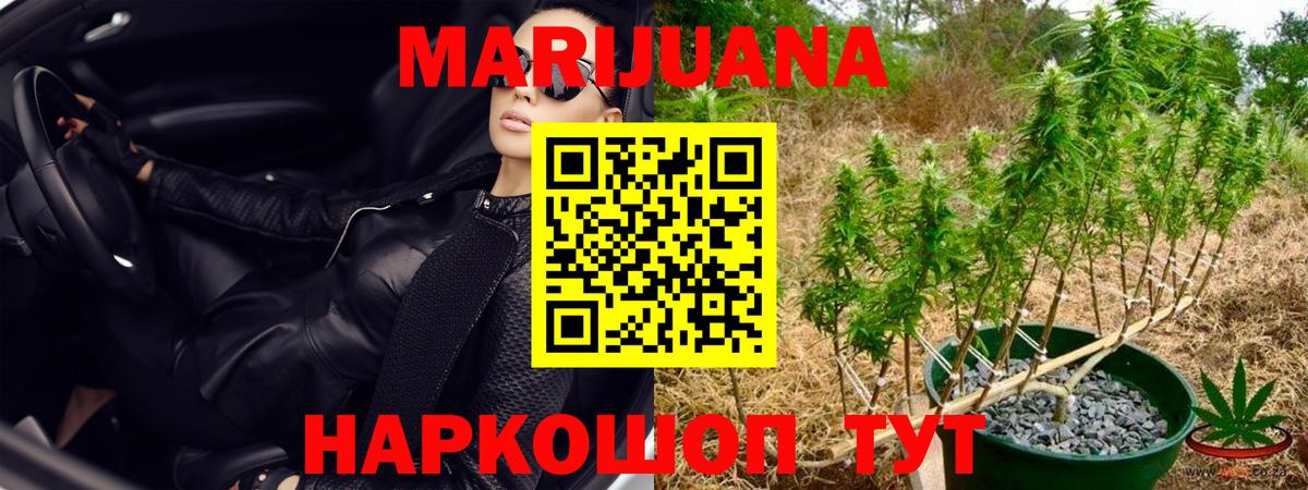 МАРИХУАНА ГИДРОПОН  Бошки марихуана AK-47  Шишки марихуана индика  Видное  Вход с VPN  Бошки марихуана семена 